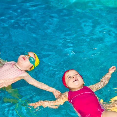 Piscine Du Triolo Equipements Et Animations Ville De Villeneuve D Ascq